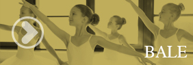 BALE copy